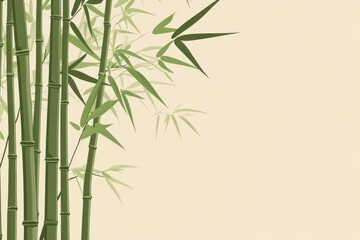 Fototapeta premium A serene composition of bamboo stalks with delicate leaves against a neutral background, perfect for calming designs.