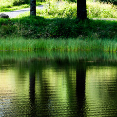 A peaceful riverside scene features vibrant green foliage and a tall tree beside calm waters, reflecting the beauty of nature on a bright, sunny day