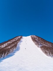 Fototapeta premium Skiers on a snowy mountain slope bright winter day clear blue sky fast and thrilling descent fresh snow under the skis white and blue palette