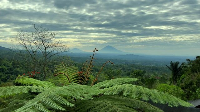 volcano  green agung mountain
