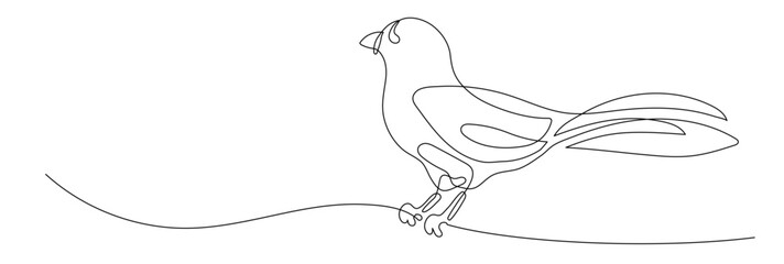 Bird vector illustration in one continuous editable line drawing style. Editable stroke