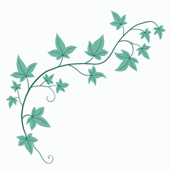 Floral ivy drawing decorative ornament flat design.