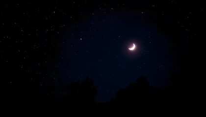 Crescent moon in a dark blue night sky with silhouetted trees in the foreground