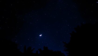 A crescent moon in a dark blue night sky, with silhouetted pine trees in the foreground