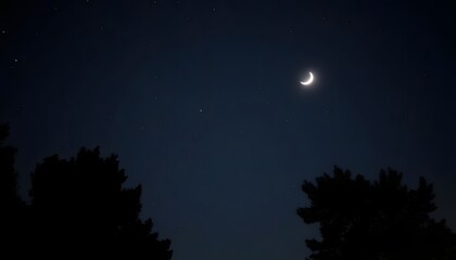 Fototapeta premium A crescent moon in a dark blue night sky, with silhouetted pine trees in the foreground