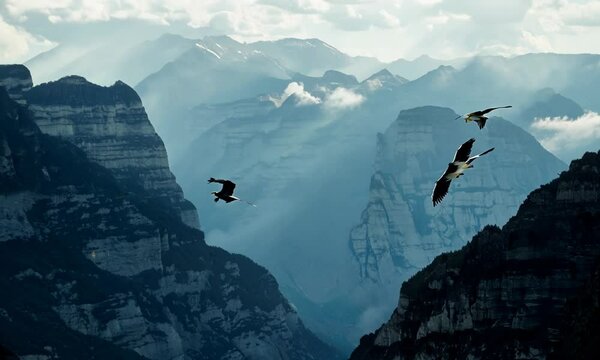 Eagles soaring over a rugged mountain range.  Video