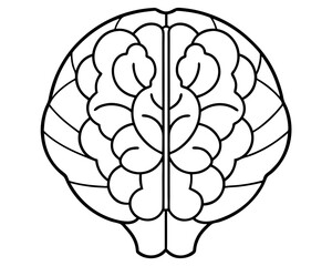 human brain line art stock illustration,brain line drwing