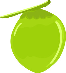 Coconut illustration on transparent background.
