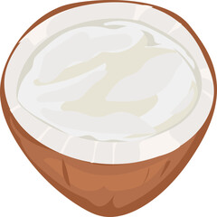 Fresh coconut illustration on transparent background.
