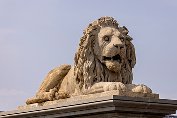 Lion Statue in the city of Budapest