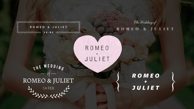 Beautiful Wedding Intro Title Template Bundle