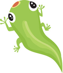 Obraz premium Cartoon tadpole illustration on transparent background. 