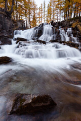 Obraz premium Clarée