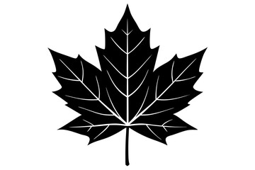 Maple leaf silhouette logo isolated on white background, vector icon