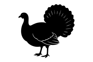 Silhouette turkey on white background. Farm animals collection. Icon.