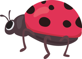 Cartoon ladybug illustration on transparent background.  © OneyWhyStudio