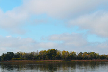 forest against the background of the river