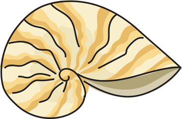 Cartoon sea ​​shell illustration on transparent background.
