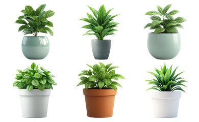 Obraz premium Potted indoor plants set isolated on transparent background