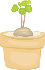 Tropical plant cartoon doodle illustration on transparent background.
