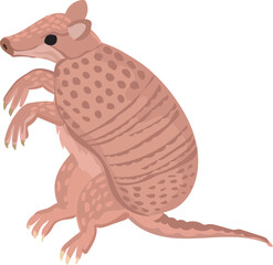 Cartoon armadillo illustration on transparent background.
