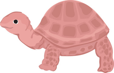 Cartoon turtle illustration on transparent background.
