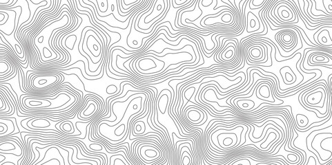 Abstract Topographic Map in Contour Line Light stripes on a white background Geographic Abstract Grid. Line Topography Map Contour Background illustrations of maps