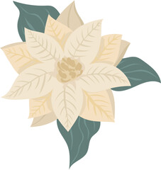 Poinsenttia illustration on transparent background.
