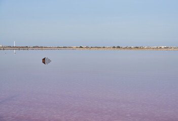 View of a salt flat with purple water with an iron fish reflected in the water and the town skyline in the background with a blue sky with clouds