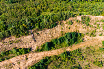 Slope of an old overgrown sand quarry, aerial view