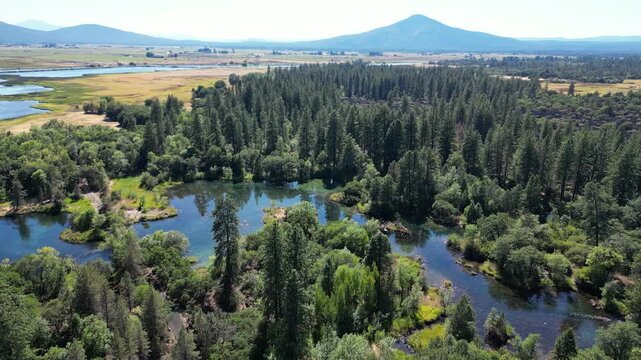beautiful spring fed river