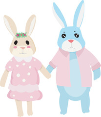 Cartoon cute rabbit couple illustration on transparent background.
