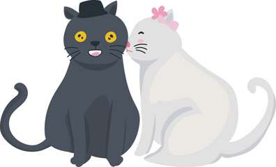 Cartoon cute cat couple illustration on transparent background.

