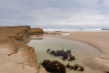 En la marea baja se descubre mucha vida