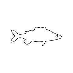 Vector illustration of fresh perch freshwater fish, outline on white. For menu, label, recipe, product packaging. Freshwater food element. Action promotion and advertising. Caviar. EPS 10.
