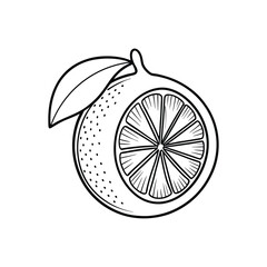 Lemon outline icon vector illustrations of lemons and leaves on white background.