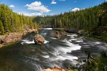 river in the forest