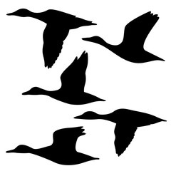 set of silhouettes of ducks in flight, bird stencil