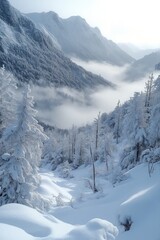 Fototapeta premium Fog rolling through snowy mountains covered in pine trees