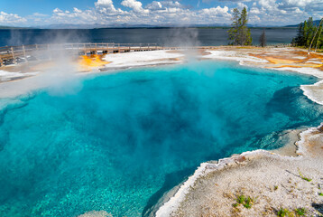 Yellowstone springs at the Yellowstone National Park