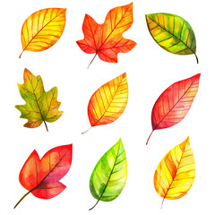 Fototapeta premium A vibrant collection of hand-painted autumn leaves in various colors showcasing the beauty of fall foliage.