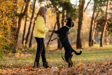 little teenage girl walks with her dog in the autumn in the forest