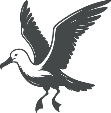 recommend clip art: Albatross bird vector art