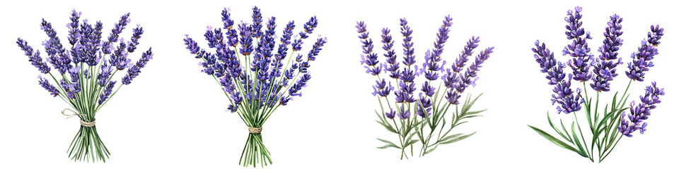 Obraz premium Beautiful lavender bouquets in various arrangements showcasing their vibrant color and natural elegance.