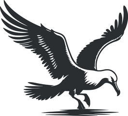 Albatross bird vector art