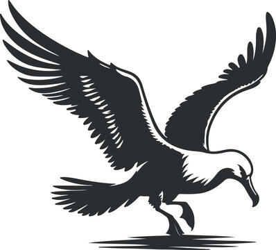 recommend clip art: Albatross bird vector art