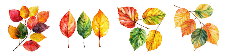Colorful autumn leaves in various shapes and sizes, perfect for seasonal designs and nature-themed projects.