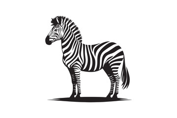 Zebra silhouette vector illustration, Zebra silhouette vector. Zebra silhouette