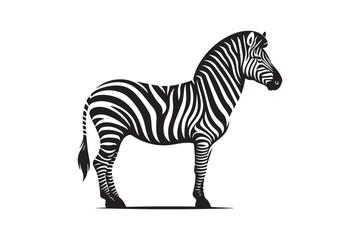 Zebra silhouette vector illustration, Zebra silhouette vector. Zebra silhouette