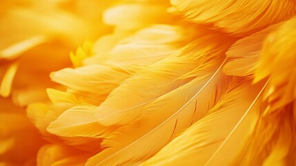 A blurred texture of bird feathers, ideal for background use, with soft colors and an abstract design that enhances the delicate beauty of the feathers.